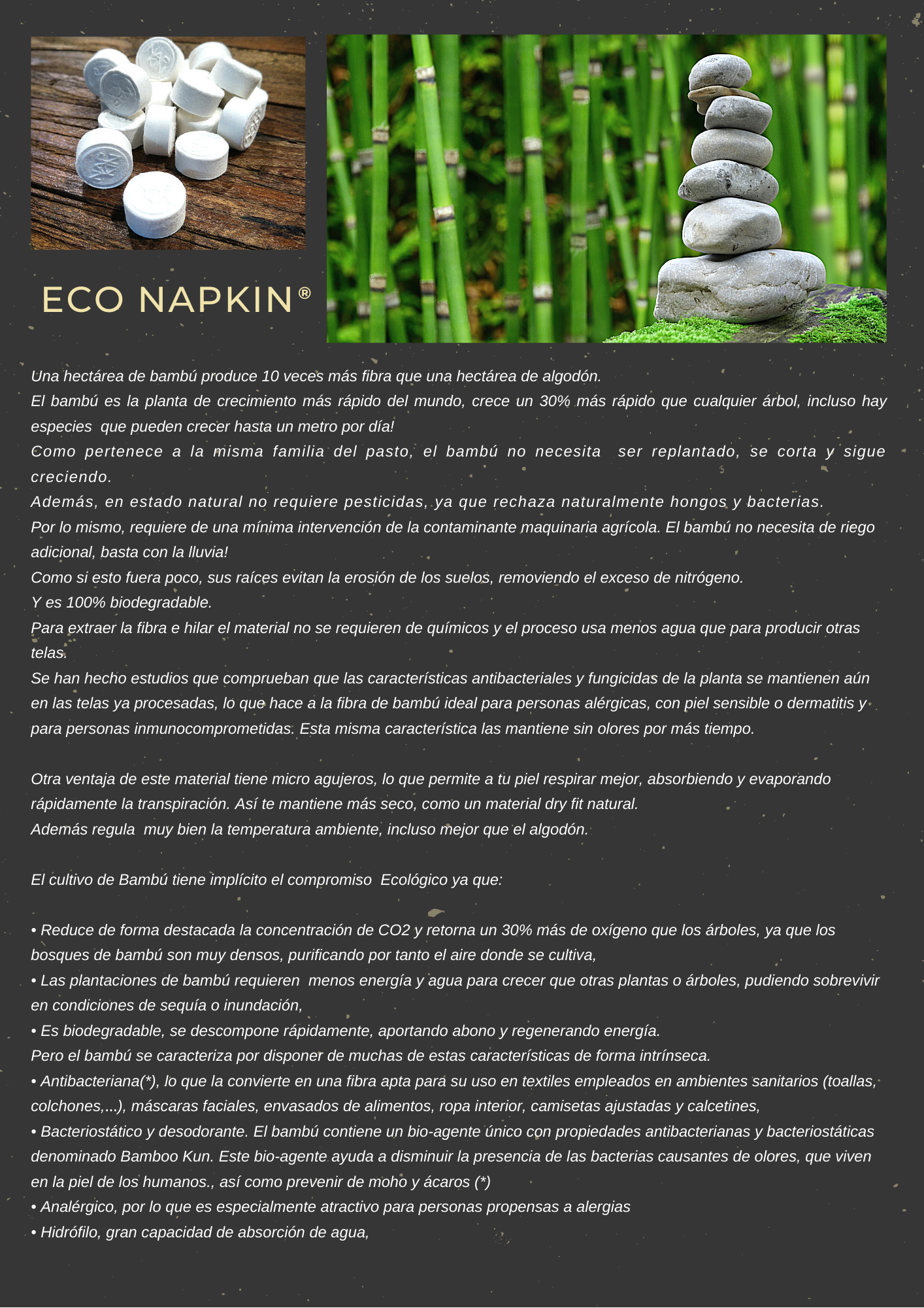 NAPKIN_THE_BAMBOO_2