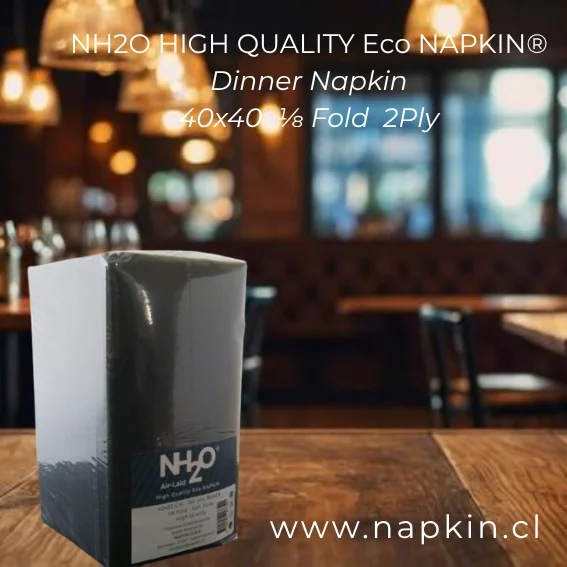 Servilletas Premium H.Q. 40x40 Cm. 1/8 Fold Negras Bag 100 Un.